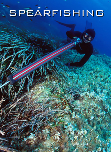 SPEARFISHING