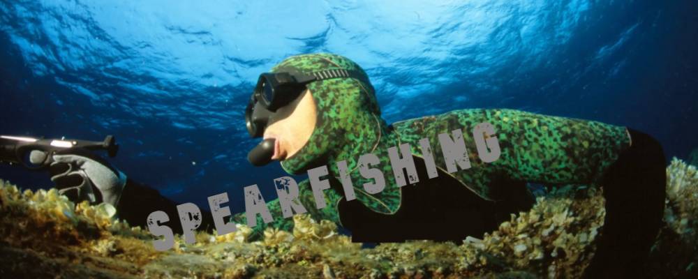 EP FISHING AND DIVING